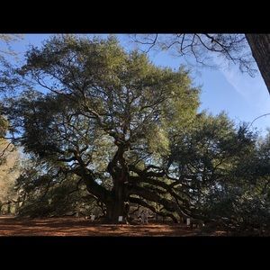 Meet your Posher, Fay